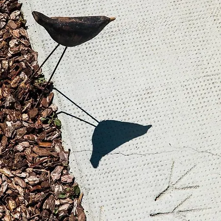 Casamerla 住宿加早餐酒店 多利亚尼